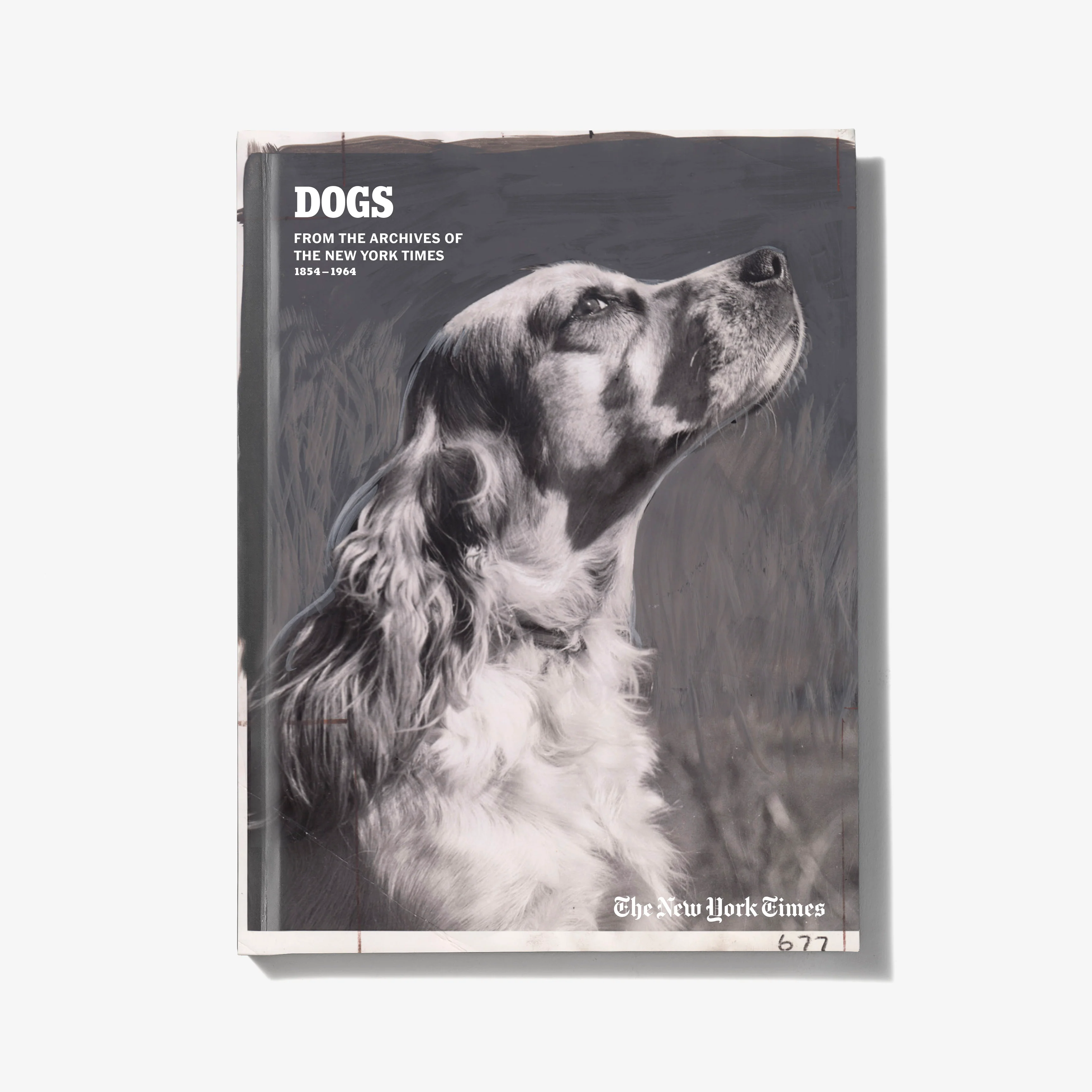 10409-dogs-of-the-times-1.webp Dogs of The Times
