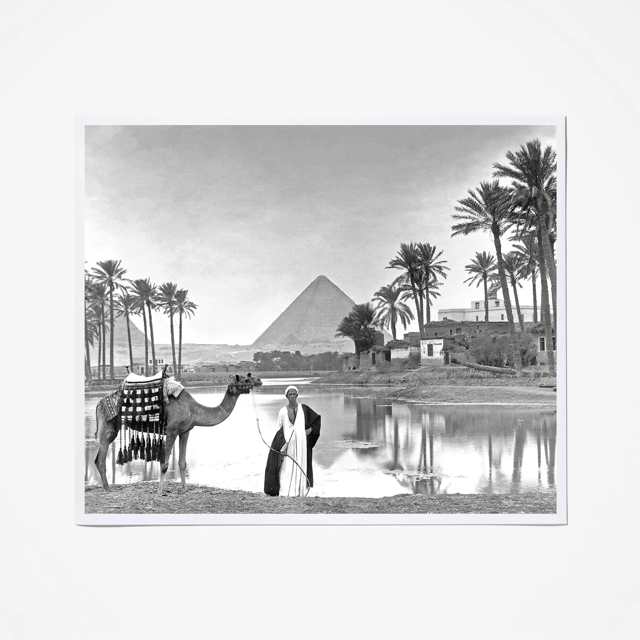 An Oasis Near Cairo